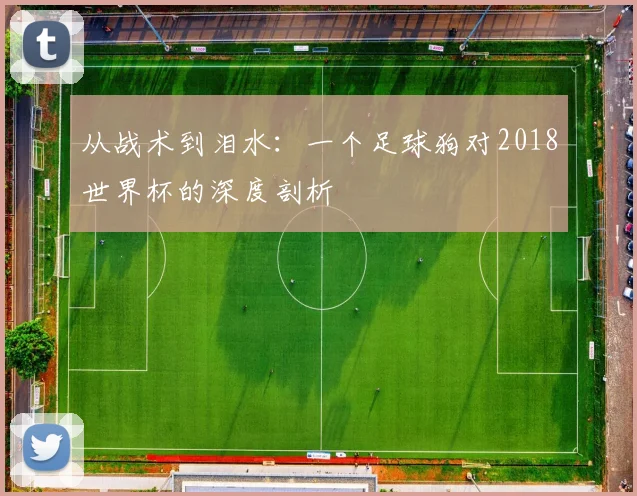 从战术到泪水：一个足球狗对2018世界杯的深度剖析