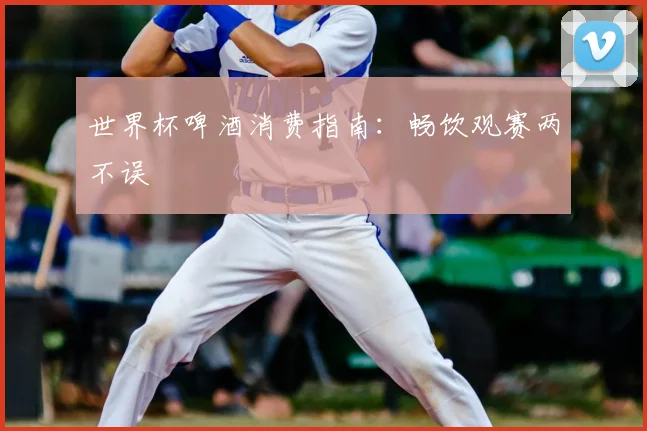 世界杯啤酒消费指南:畅饮观赛两不误