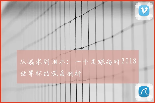 从战术到泪水：一个足球狗对2018世界杯的深度剖析