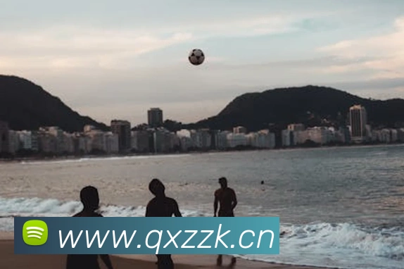 ts米兰官网入口APP 封面图